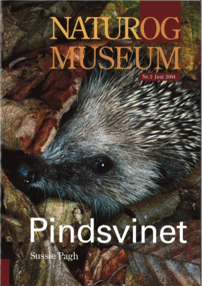 Pindsvinet